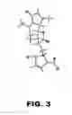 Fig. 06 - Dehydroleucodine derivatives and uses thereof