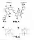 Fig. 07 - Dehydroleucodine derivatives and uses thereof
