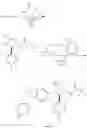 Fig. 40 - Substituted pyrrolidine amides I