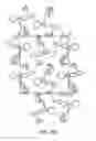 Fig. 31 - Solid forms of isoquinolinones, and process of making, composition comprising, and methods of using the same