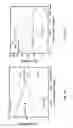Fig. 04 - Troger's base-based monomers, and polymers, methods of making and uses thereof