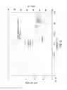 Fig. 07 - MCL-1 inhibitors and methods of use thereof