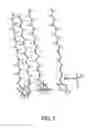 Fig. 04 - Oral care compositions
