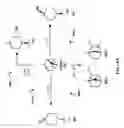 Fig. 09 - Pinene-based flame retardant compounds