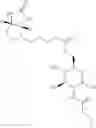 Fig. 166 - Glucosamine derivatives and pharmaceutical uses thereof