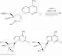 Fig. 22 - DEUTERATED NUCLEOSIDE REVERSE TRANSCRIPTASE INHIBITORS