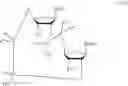 Fig. 71 - 2'2' CYCLIC DINUCLEOTIDES WITH PHOSPHONATE BOND ACTIVATING THE STING ADAPTOR PROTEIN