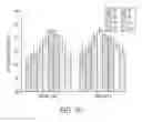Fig. 10 - ANTIBODY BASED REAGENT THAT SPECIFICALLY RECOGNIZES TOXIC OLIGOMERIC FORM OF BETA-AMYLOID