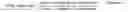 Fig. 02 - Flame retardant polymeric composition
