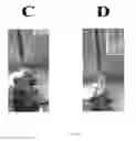 Fig. 04 - Transfer System For Printing