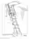 Fig. 02 - Attic Ladder and Kit