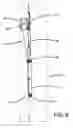 Fig. 10 - Ladder rung extension assembly