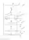 Fig. 01 - Method for synchronizing two drive elements of a powertrain of a motor vehicle, and powertrain for a motor vehicle