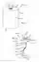 Fig. 02 - Flameless electronic candle