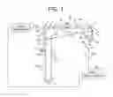 Fig. 02 - Laser ultrasonic testing