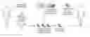 Fig. 01 - CANCER MODELING PLATFORMS AND METHODS OF USING THE SAME