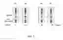 Fig. 06 - Method and associated device for rapid detection of target biomolecules with enhanced sensitivity