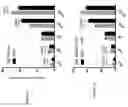 Fig. 06 - Terminal erythroid differentiation as a biomarker for prognosis and treatment, and therapeutic target in myeloid malignancies
