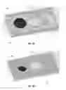 Fig. 07 - Optical reader for analyte testing
