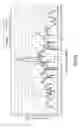 Fig. 07 - Method for measuring antenna patterns of a secondary radar and secondary radar implementing such a method