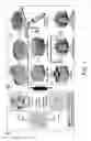 Fig. 02 - Patterned Silk Inverse Opal Photonic Crystals with Tunable, Geometrically Defined Structural Color