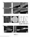 Fig. 03 - Patterned Silk Inverse Opal Photonic Crystals with Tunable, Geometrically Defined Structural Color