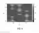 Fig. 07 - Patterned Silk Inverse Opal Photonic Crystals with Tunable, Geometrically Defined Structural Color