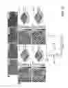 Fig. 20 - Patterned Silk Inverse Opal Photonic Crystals with Tunable, Geometrically Defined Structural Color