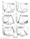 Fig. 22 - Patterned Silk Inverse Opal Photonic Crystals with Tunable, Geometrically Defined Structural Color