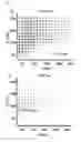 Fig. 04 - Method of forming nano-patterns on a substrate