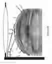 Fig. 07 - Light control devices and methods for regional variation of visual information and sampling