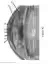 Fig. 08 - Light control devices and methods for regional variation of visual information and sampling
