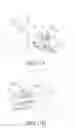 Fig. 24 - METHOD FOR DISPLAYING CONTENT AND ELECTRONIC DEVICE THEREFOR