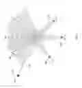 Fig. 06 - Method for rendering an augmented object