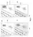 Fig. 07 - ALERT DIRECTIVES AND FOCUSED ALERT DIRECTIVES IN A BEHAVIORAL RECOGNITION SYSTEM