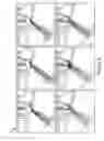 Fig. 16 - Automatic generation of pedestrians in virtual simulation of roadway intersections
