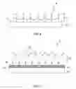 Fig. 05 - Apparatus And Methods For Visual Demonstration Of Dental Erosion On Simulated Dental Materials
