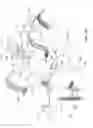 Fig. 10 - Instrument carrier with auto-release articulating back brace