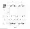 Fig. 07 - Multi-channel speech enhancement