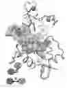 Fig. 01 - Mining all atom simulations for diagnosing and treating disease