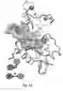 Fig. 02 - Mining all atom simulations for diagnosing and treating disease