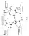 Fig. 02 - Systems and Methods for Predicting and Interpreting Comprehensive Molecular Isotopic Structures and Uses Thereof