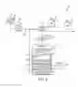 Fig. 09 - System and apparatus for electronic patient care