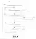 Fig. 07 - ACTIVITY NOTIFICATION AGGREGATION IN A ROLE-SPECIFIC FEED