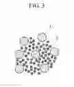 Fig. 04 - Ceramic dielectric, method of manufacturing the same, ceramic electronic component, and electronic device