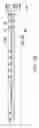Fig. 04 - Package structure and manufacturing method thereof