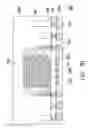 Fig. 08 - Package structure and manufacturing method thereof
