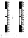 Fig. 10 - Semiconductor package and fabricating method thereof