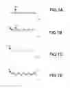 Fig. 08 - Semiconductor device and method of manufacturing the same