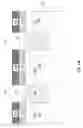 Fig. 15 - MONOLITHIC SEGMENTED LED ARRAY ARCHITECTURE WITH TRANSPARENT COMMON N-CONTACT